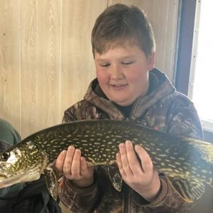 Meet your Posher, Logan